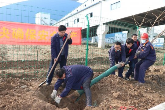 3·12植树节丨济宁能源志愿者服务队在行动