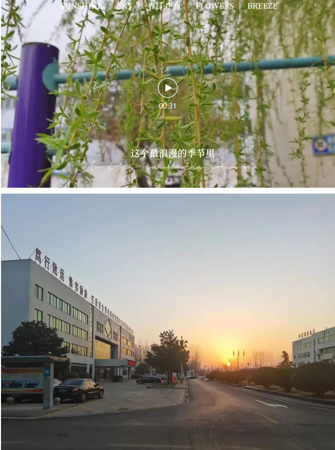 微信截图_20220316085749.png