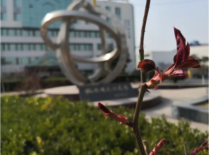微信截图_20220316085923.png