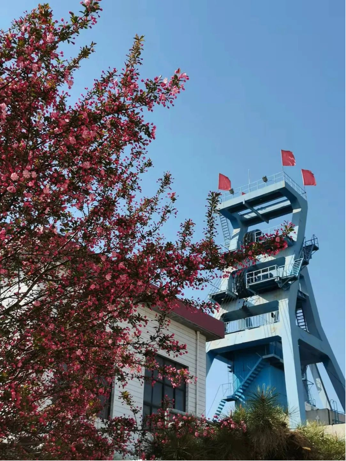 微信截图_20220316085954.png