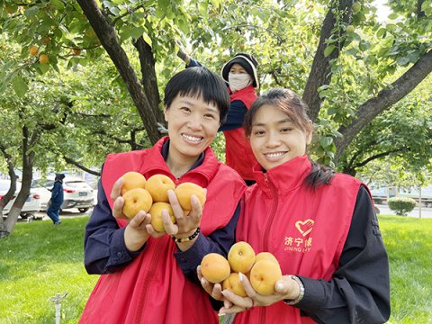 义桥煤矿：分享‘杏’福果  暖心嘱安全