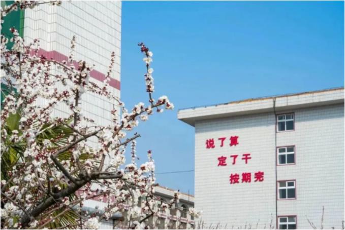 微信截图_20230415090643.jpg
