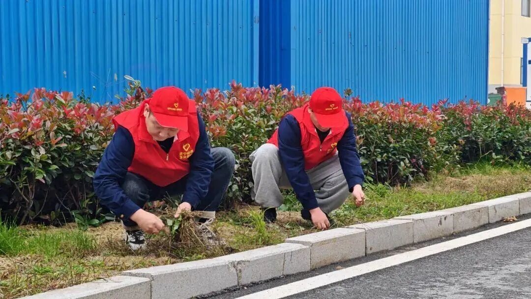 1762843344420807.jpg 02.jpg