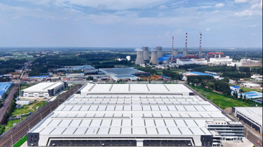 1763518268807319.jpg 01.jpg